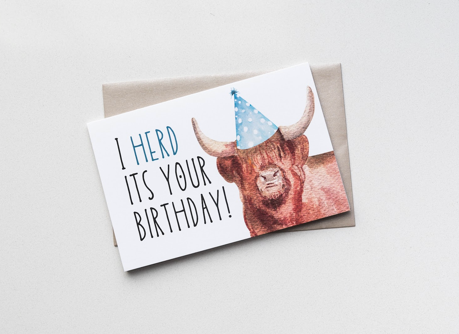 The Paper and Plan Co. - I Herd It's Your Birthday